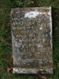 image of grave number 228601